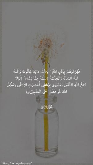 Al-Baqara Ayah 251 - Arabic wallpaper