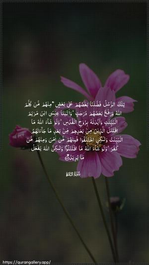 Al-Baqara Ayah 253 - Arabic wallpaper