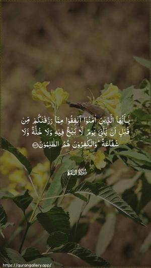 Al-Baqara Ayah 254 - Arabic wallpaper