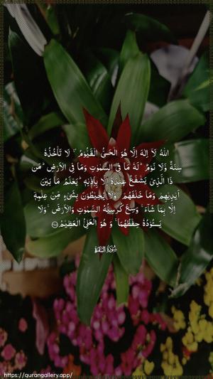 Al-Baqara Ayah 255 - Arabic wallpaper