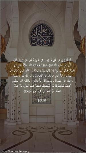 Al-Baqara Ayah 259 - Arabic wallpaper