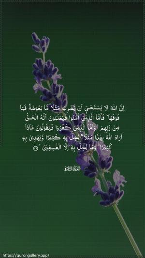Al-Baqara Ayah 26 - Arabic wallpaper