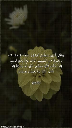 Al-Baqara Ayah 265 - Arabic wallpaper