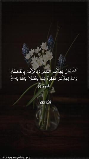 Al-Baqara Ayah 268 - Arabic wallpaper
