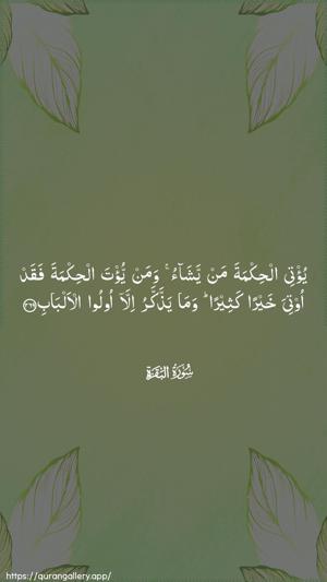 Al-Baqara Ayah 269 - Arabic wallpaper