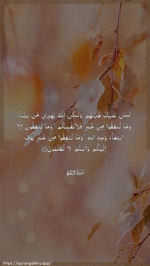 Al-Baqara Ayah 272 - Arabic wallpaper