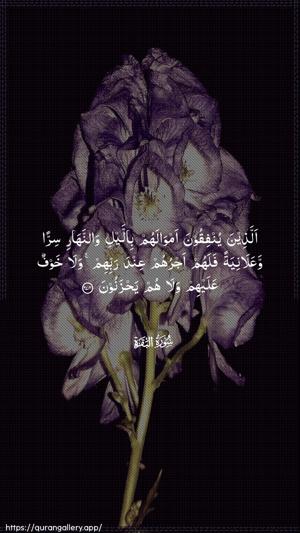 Al-Baqara Ayah 274 - Arabic wallpaper