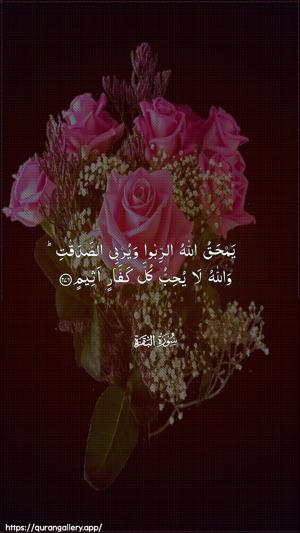 Al-Baqara Ayah 276 - Arabic wallpaper