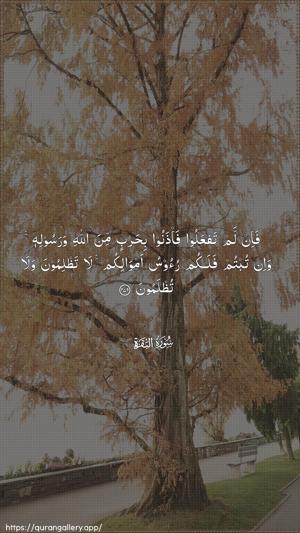 Al-Baqara Ayah 279 - Arabic wallpaper