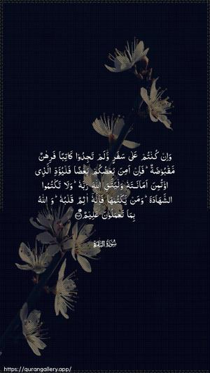 Al-Baqara Ayah 283 - Arabic wallpaper