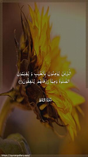 Al-Baqara Ayah 3 - Arabic wallpaper