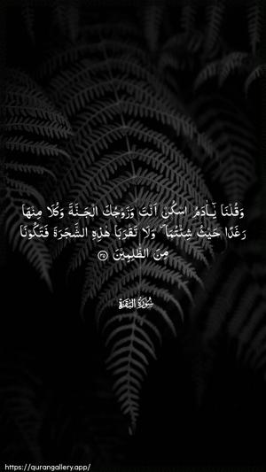Al-Baqara Ayah 35 - Arabic wallpaper