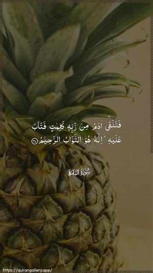Al-Baqara Ayah 37 - Arabic wallpaper