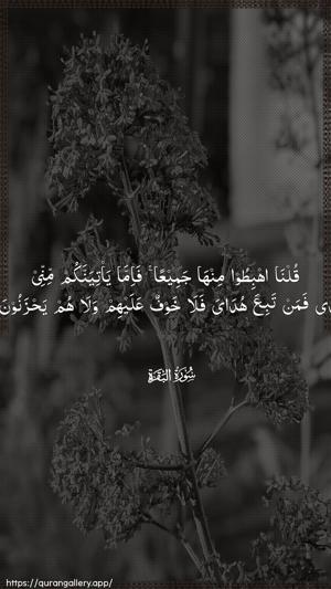 Al-Baqara Ayah 38 - Arabic wallpaper