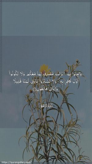 Al-Baqara Ayah 41 - Arabic wallpaper