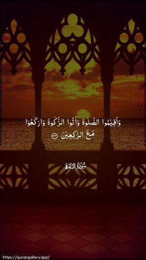 Al-Baqara Ayah 43 - Arabic wallpaper