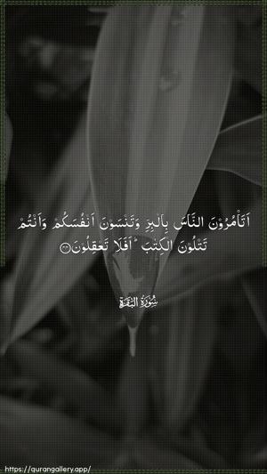 Al-Baqara Ayah 44 - Arabic wallpaper