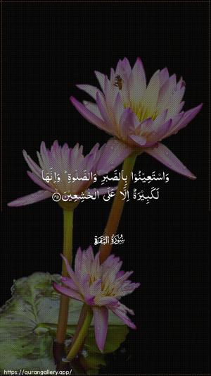 Al-Baqara Ayah 45 - Arabic wallpaper
