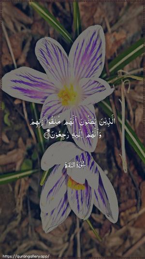 Al-Baqara Ayah 46 - Arabic wallpaper
