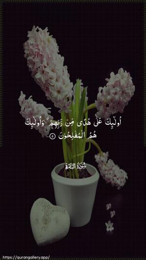 Al-Baqara Ayah 5 - Arabic wallpaper