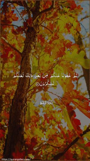 Al-Baqara Ayah 52 - Arabic wallpaper