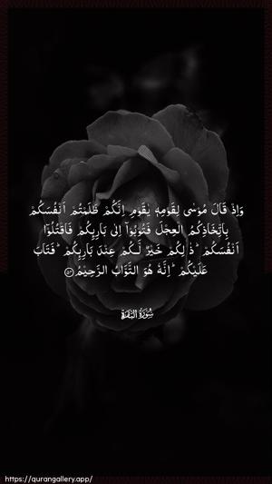 Al-Baqara Ayah 54 - Arabic wallpaper