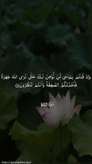 Al-Baqara Ayah 55 - Arabic wallpaper