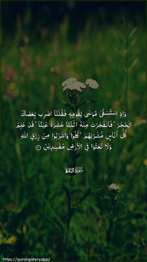 Al-Baqara Ayah 60 - Arabic wallpaper
