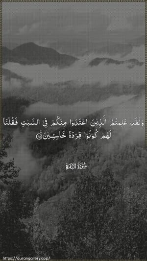 Al-Baqara Ayah 65 - Arabic wallpaper
