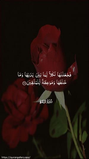 Al-Baqara Ayah 66 - Arabic wallpaper