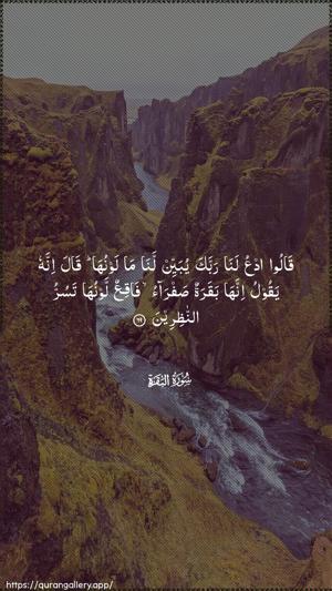 Al-Baqara Ayah 69 - Arabic wallpaper