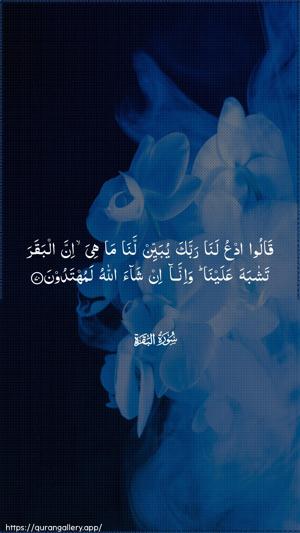 Al-Baqara Ayah 70 - Arabic wallpaper