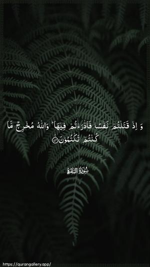Al-Baqara Ayah 72 - Arabic wallpaper