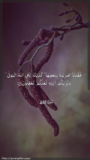 Al-Baqara Ayah 73 - Arabic wallpaper