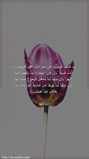 Al-Baqara Ayah 74 - Arabic wallpaper