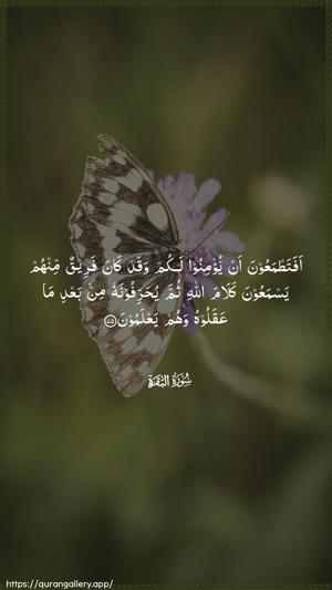 Al-Baqara Ayah 75 - Arabic wallpaper
