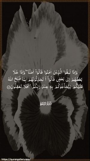 Al-Baqara Ayah 76 - Arabic wallpaper