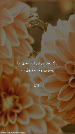 Al-Baqara Ayah 77 - Arabic wallpaper
