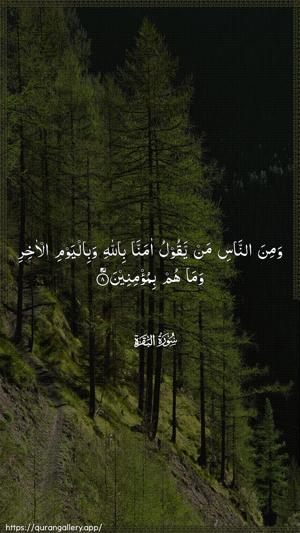 Al-Baqara Ayah 8 - Arabic wallpaper