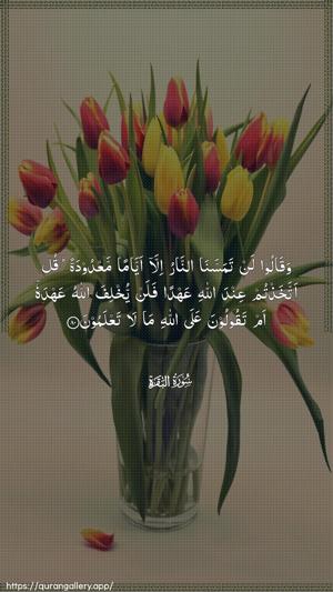 Al-Baqara Ayah 80 - Arabic wallpaper