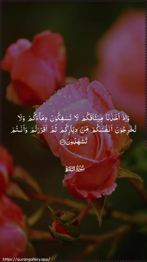 Al-Baqara Ayah 84 - Arabic wallpaper