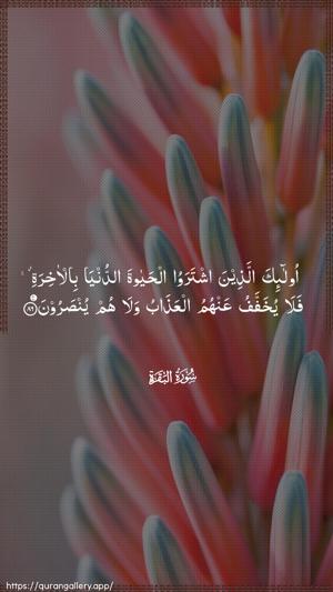 Al-Baqara Ayah 86 - Arabic wallpaper