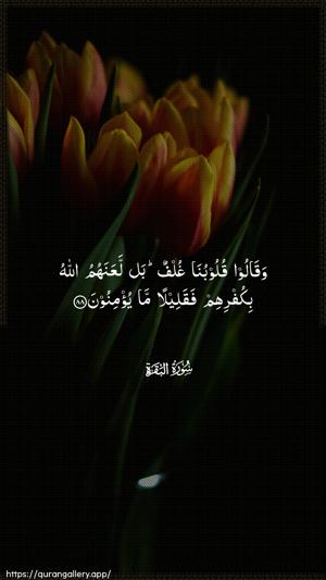 Al-Baqara Ayah 88 - Arabic wallpaper