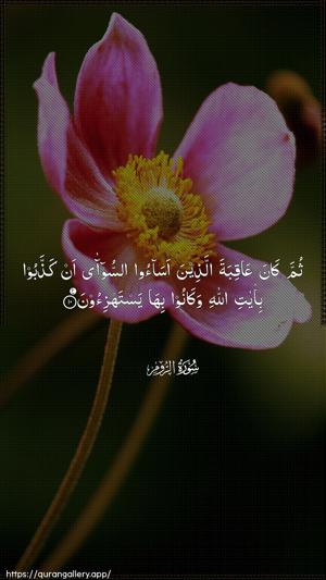 Ar-Room Ayah 10 - Arabic wallpaper