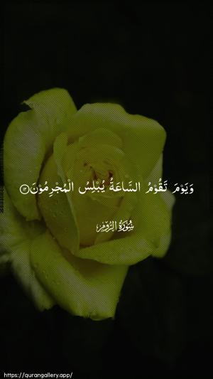 Ar-Room Ayah 12 - Arabic wallpaper
