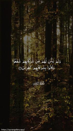 Ar-Room Ayah 13 - Arabic wallpaper