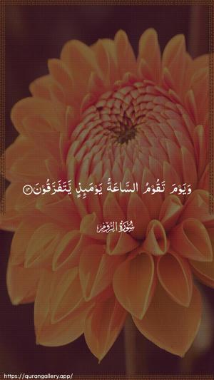 Ar-Room Ayah 14 - Arabic wallpaper