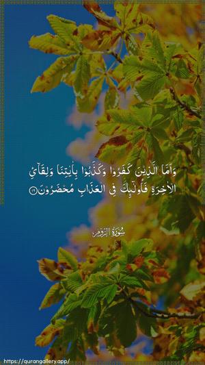 Ar-Room Ayah 16 - Arabic wallpaper