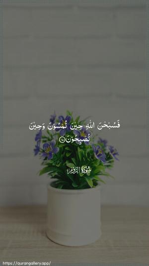 Ar-Room Ayah 17 - Arabic wallpaper