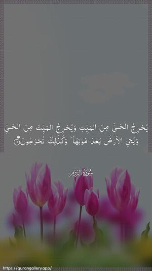 Ar-Room Ayah 19 - Arabic wallpaper
